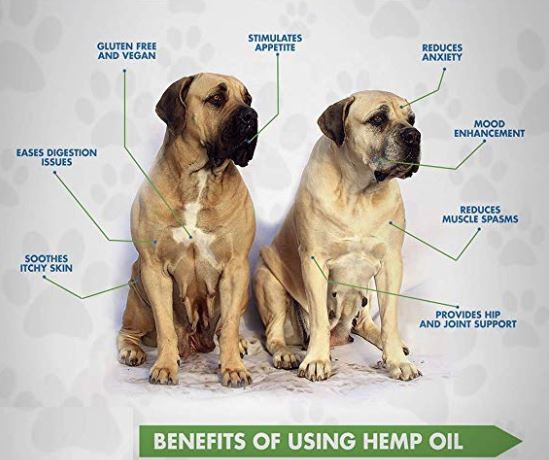 GreenTree Natuals Whole Plant Hemp Pet Tincture Drops - Three Strengths - GreenTree Natural Wellness Center 